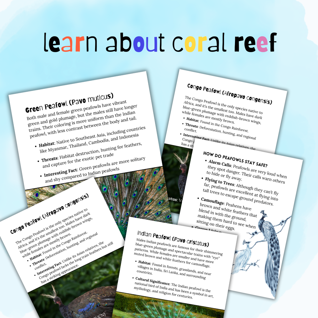 Coral Reef Homeschool Unit Study – Imagine Adventure Grow Shop